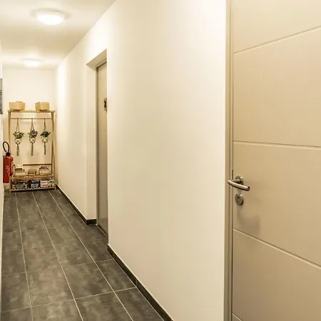 Mamita 2 Beautiful Spacious And Bright T4 74m 18m Of Terrace Lacanau